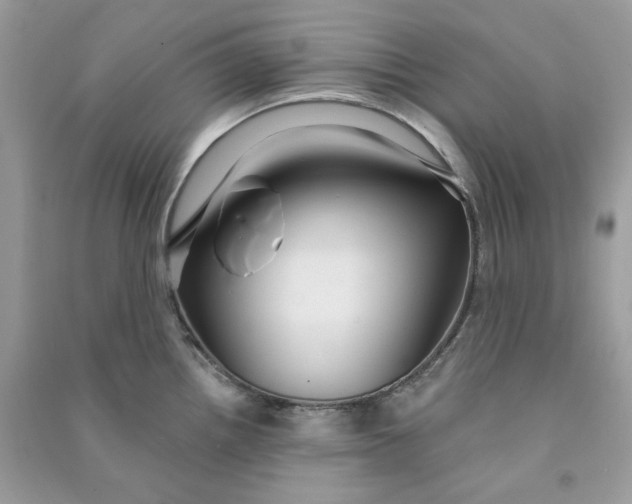 X0000090731242200708101632