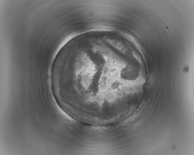 X0000090731243200708101632