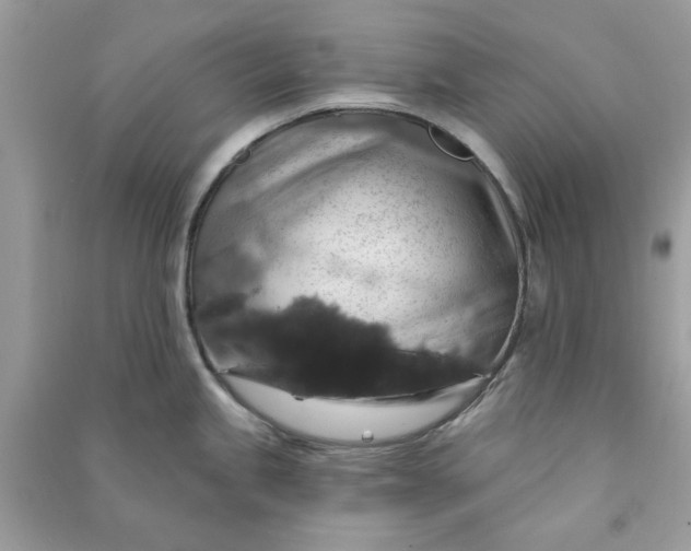 X0000090731245200708101632