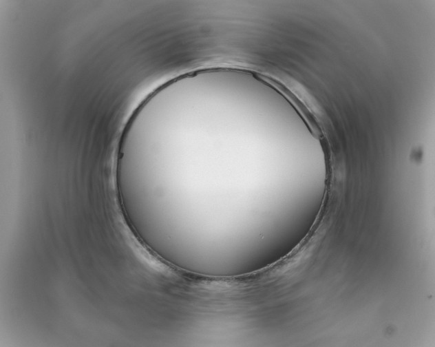 X0000090731246200708101632