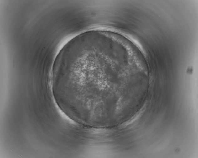 X0000090731247200708101632