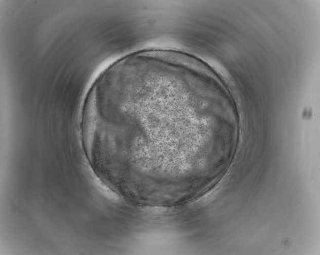 X0000090731248200708101632