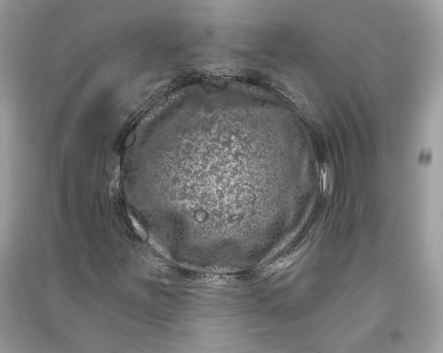 X0000090731251200708101632