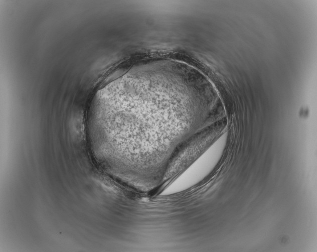 X0000090731252200708101632