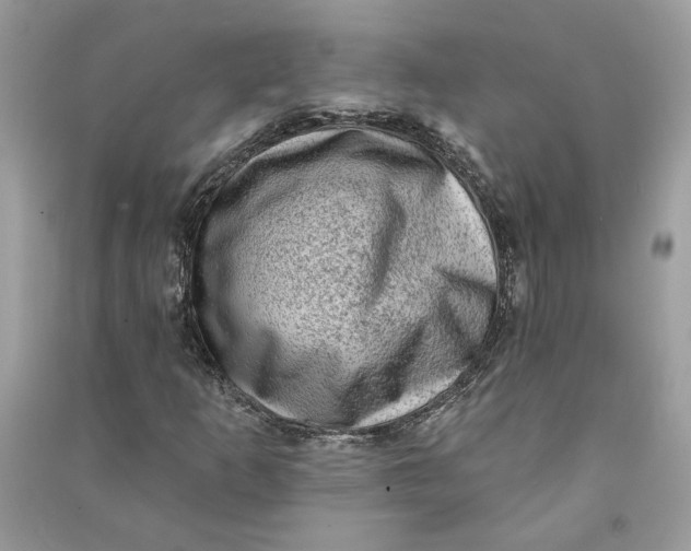 X0000090731253200708101632