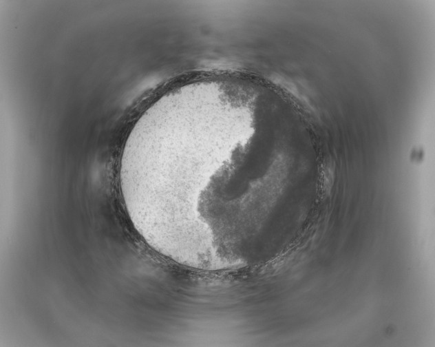 X0000090731254200708101632