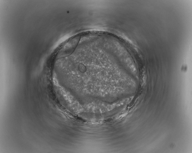 X0000090731255200708101632