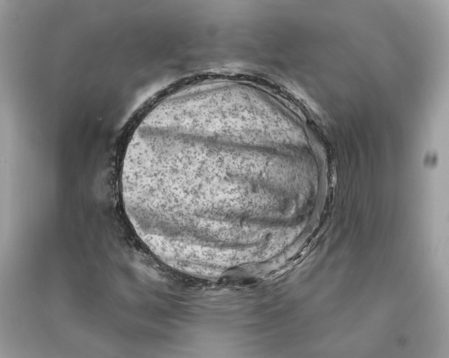 X0000090731256200708101632