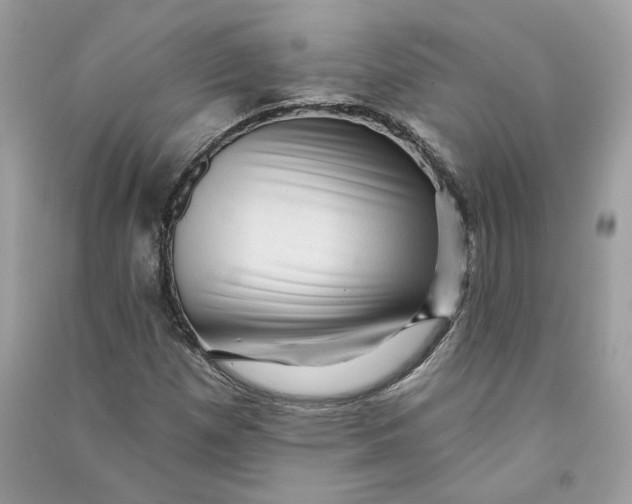 X0000090731257200708101632