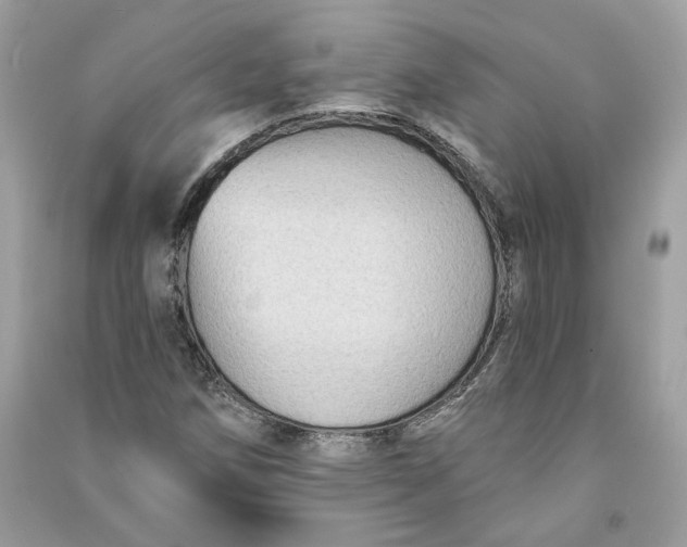 X0000090731258200708101631