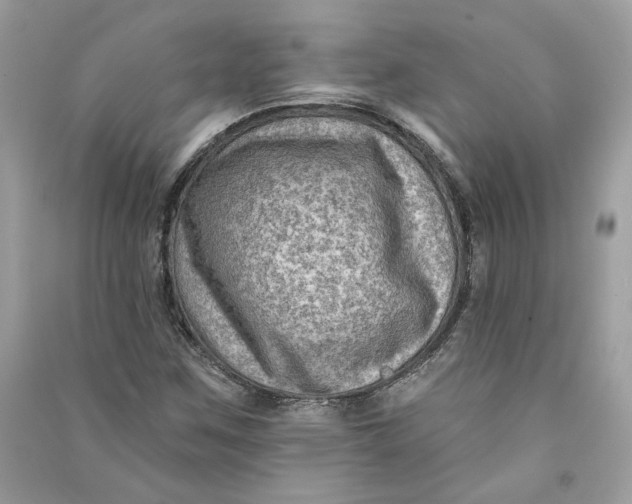 X0000090731259200708101631