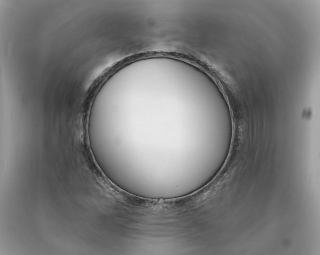 X0000090731262200708101631