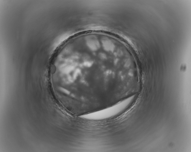 X0000090731263200708101631