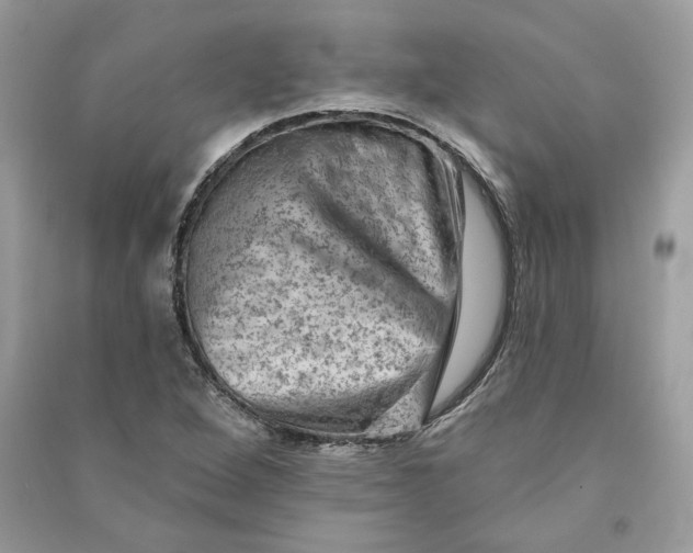 X0000090731264200708101631