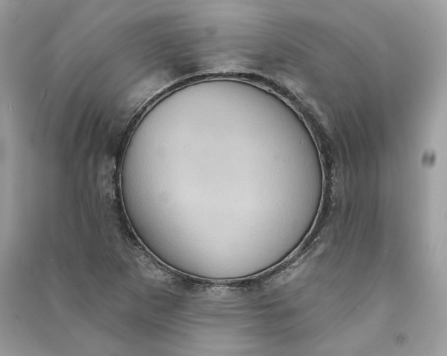 X0000090731265200708101631