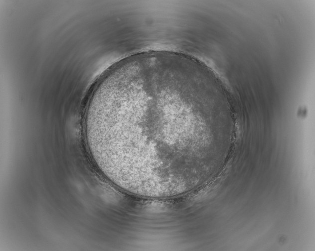 X0000090731266200708101631