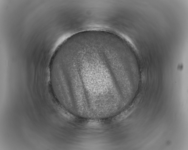 X0000090731267200708101631