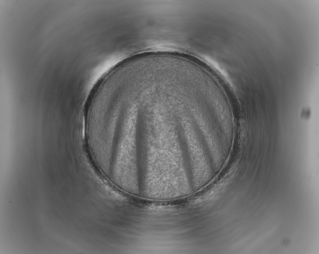 X0000090731269200708101631