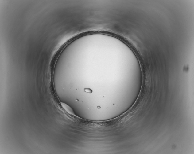 X0000090731270200708101631