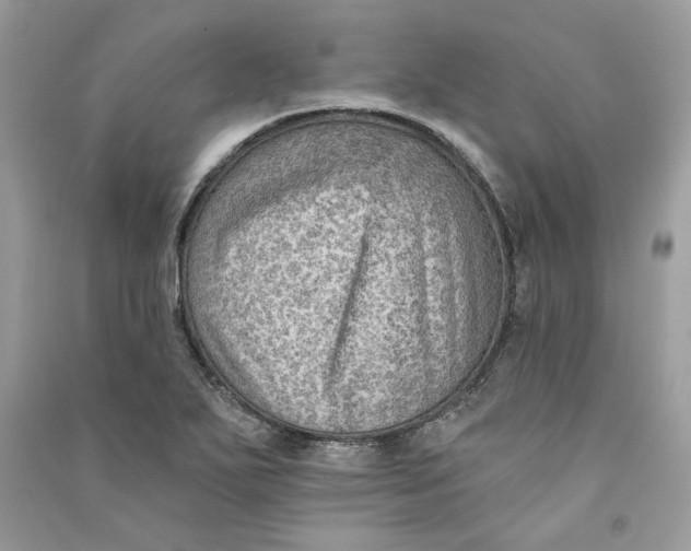 X0000090731271200708101631