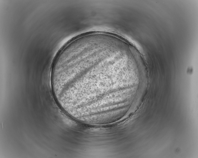 X0000090731272200708101631