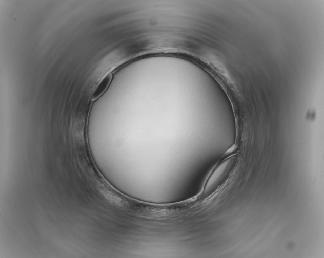 X0000090731273200708101631