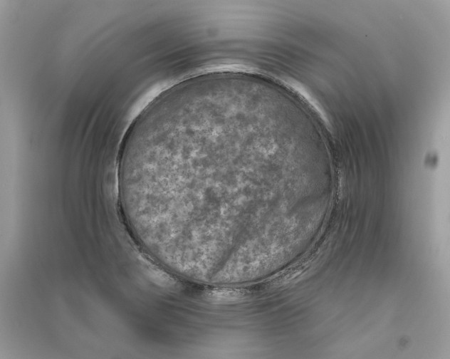 X0000090731274200708101631