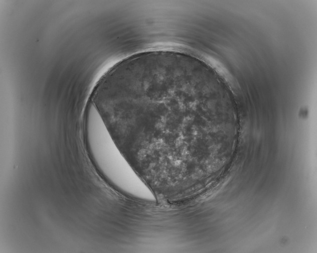 X0000090731275200708101631