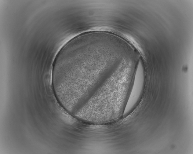 X0000090731276200708101631