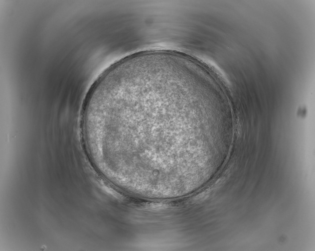 X0000090731278200708101631