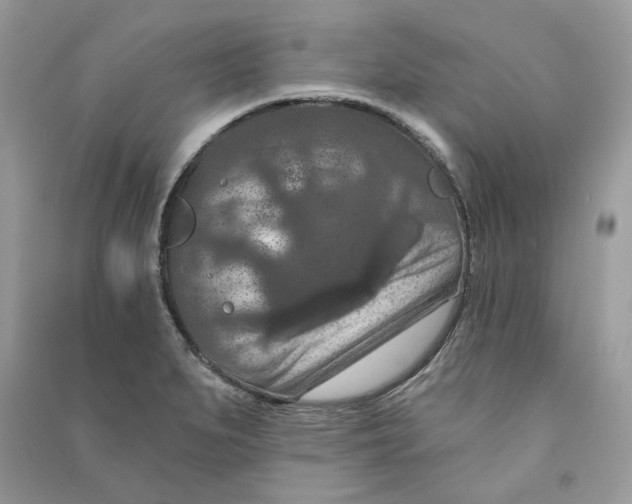 X0000090731279200708101631