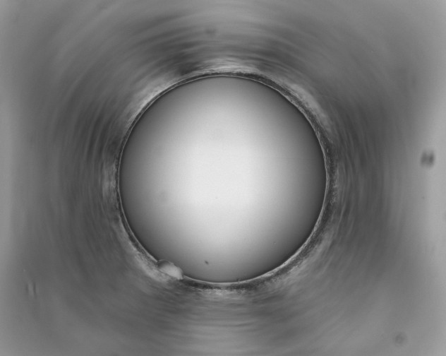 X0000090731281200708101631