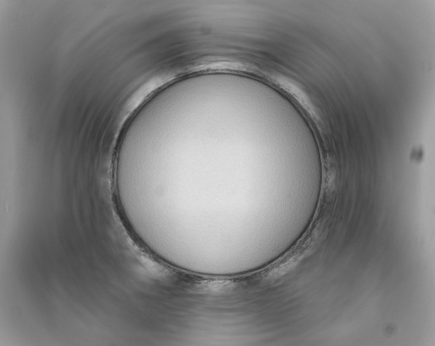 X0000090731282200708101631