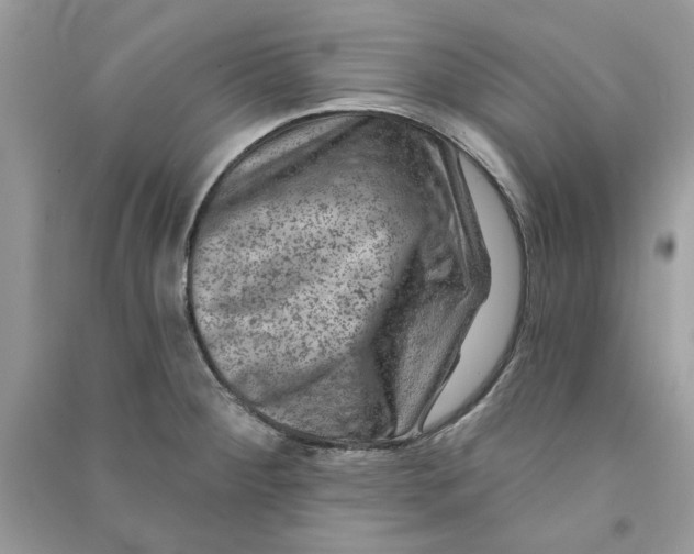 X0000090731284200708101631