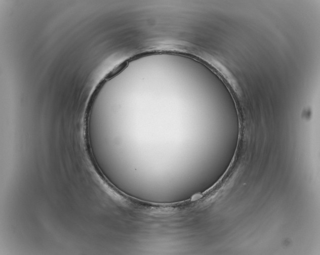 X0000090731285200708101631