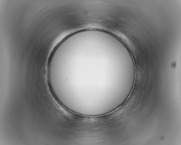 X0000090731286200708101631