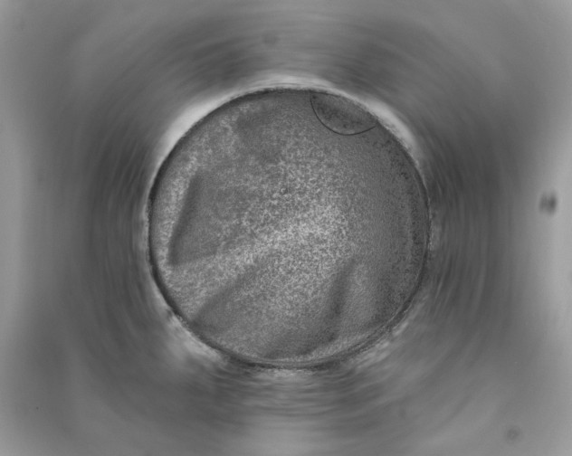 X0000090731287200708101631