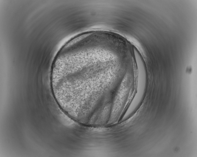 X0000090731288200708101631