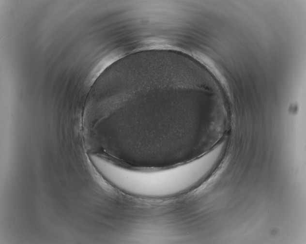 X0000090731289200708101631