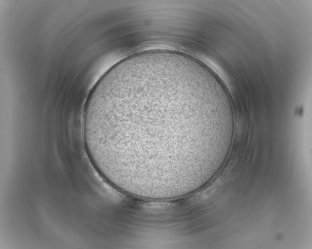 X0000090731290200708101631