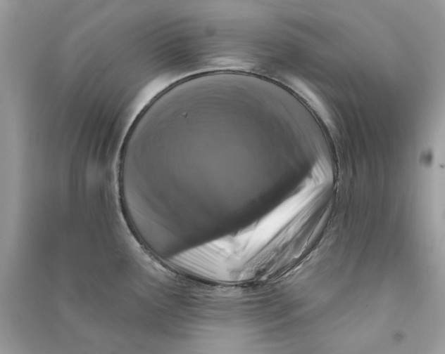 X0000090731291200708101631