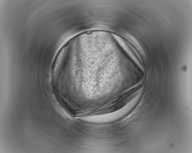 X0000090731292200708101631