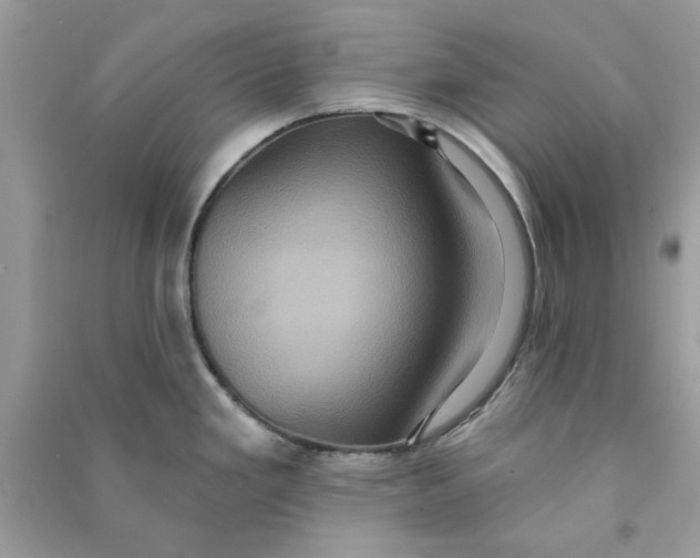 X0000090731293200708101631