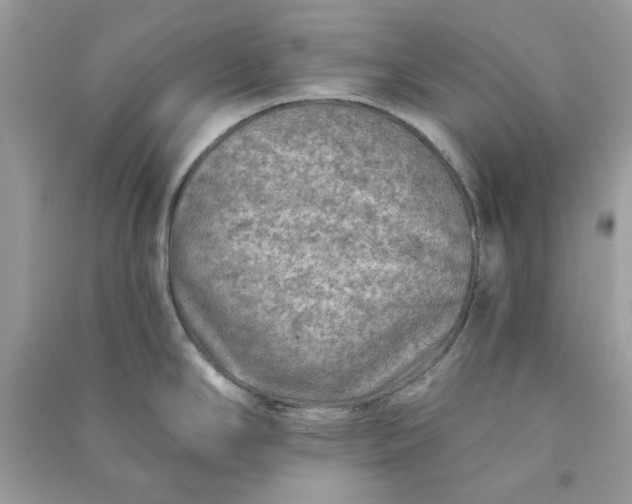 X0000090731294200708101631