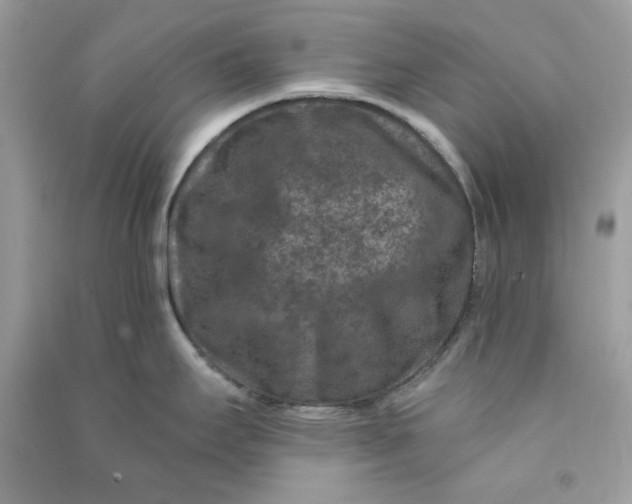 X0000090731295200708101631