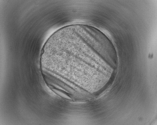 X0000090731296200708101631