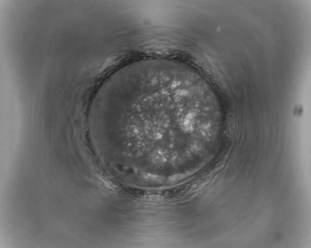 X0000090731297200708101630