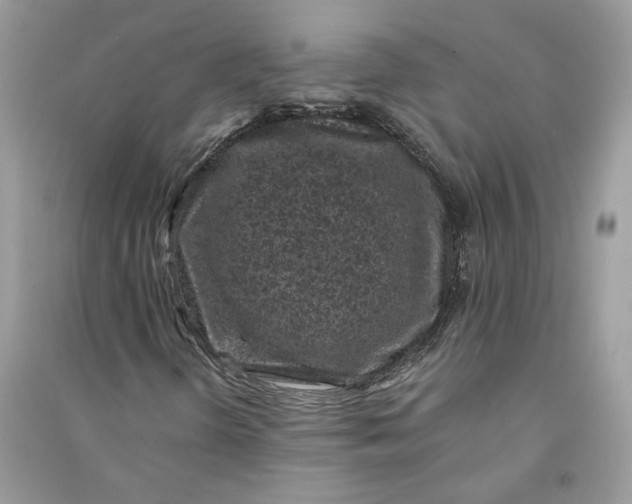 X0000090731298200708101630