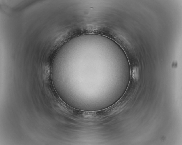 X0000090731299200708101630