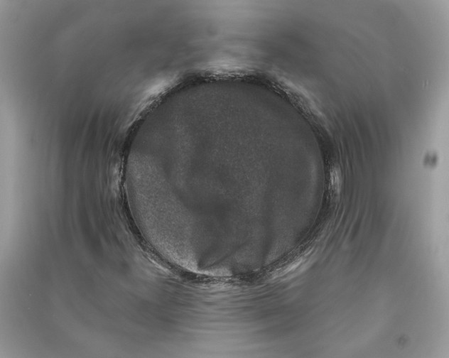 X0000090731300200708101630